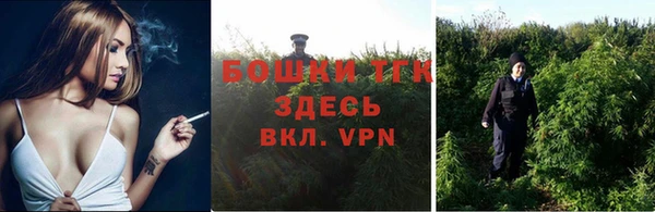 мяу мяу кристалл Корсаков