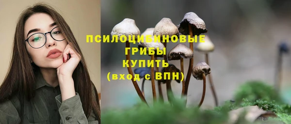 каннабис Коряжма