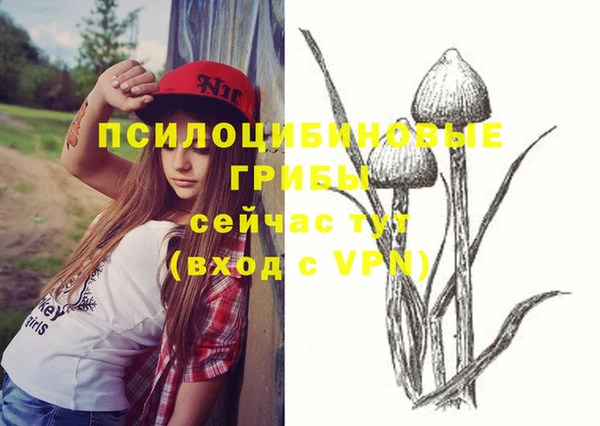 мяу мяу кристалл Корсаков