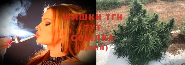 мяу мяу кристалл Корсаков