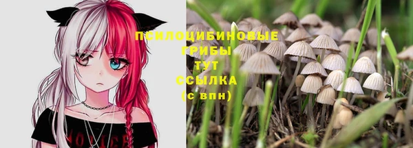 MESCALINE Костерёво