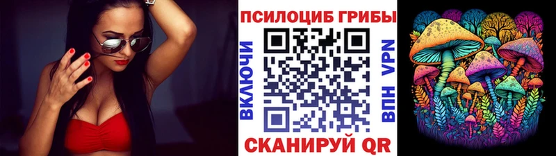 купить Красноармейск Галлюциногенные грибы GOLDEN TEACHER