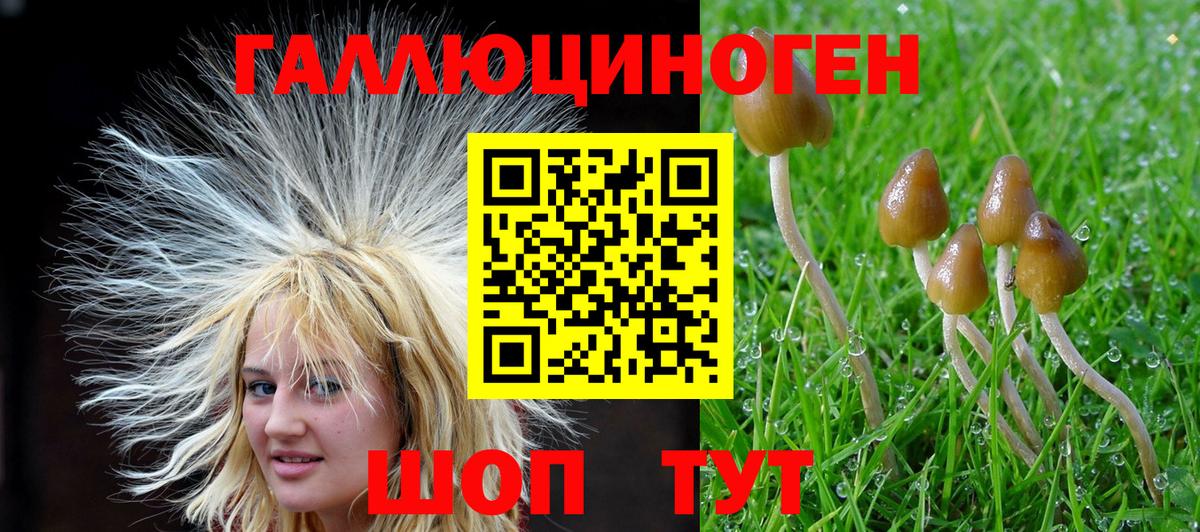 Красноармейск  Псилоцибиновые грибы GOLDEN TEACHER  где продают наркотики  Вход с VPN 