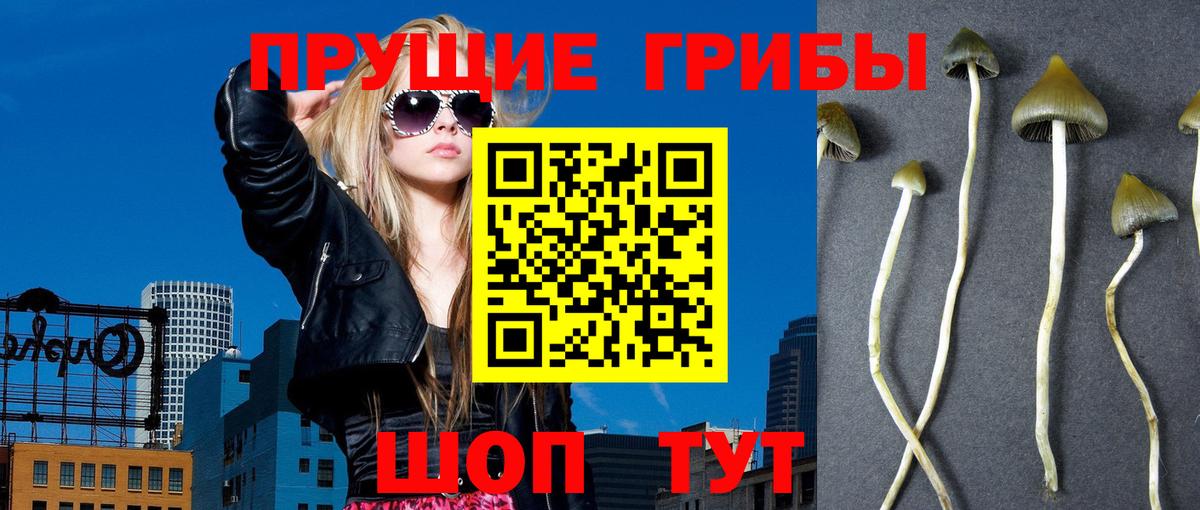 Галлюциногенные грибы GOLDEN TEACHER Красноармейск