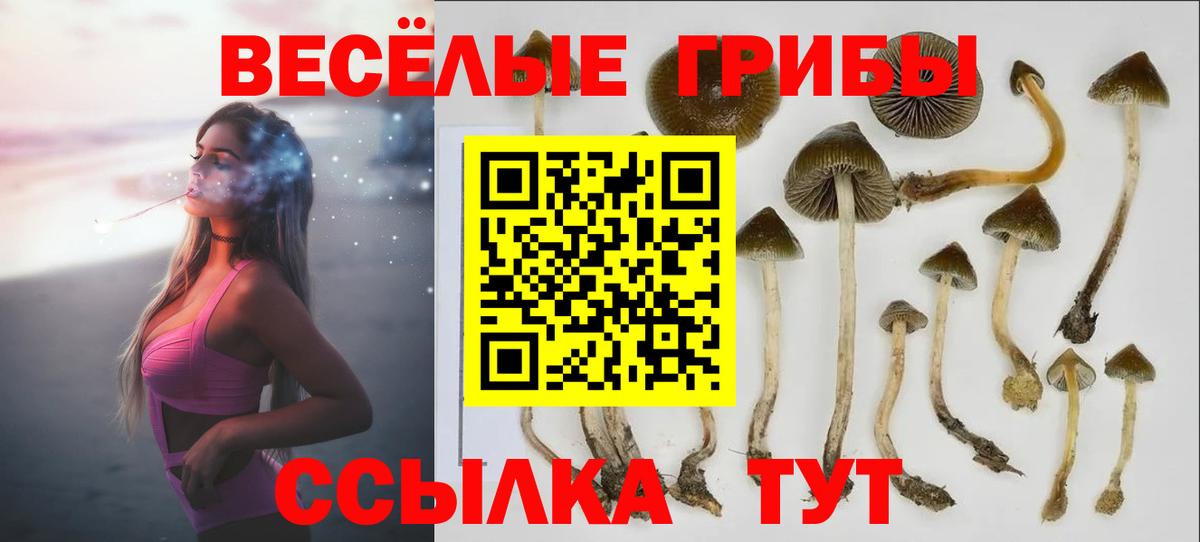 Псилоцибиновые грибы MAGIC MUSHROOMS  Красноармейск  Галлюциногенные грибы Psilocybine cubensis 