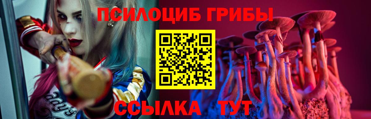 Псилоцибиновые грибы GOLDEN TEACHER Красноармейск